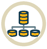 Basic Data Type ที่ใช้ภายใน API